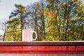 White Cup On A Rail Royalty Free Stock Photo