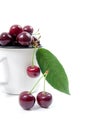 White cup with red sweet cherry isolated on a white background. Royalty Free Stock Photo