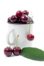 White cup with red sweet cherry on a white background. Royalty Free Stock Photo