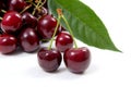 White cup with red sweet cherry on a white background. Royalty Free Stock Photo