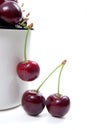 White cup with red sweet cherry on a white background. Royalty Free Stock Photo