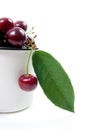 White cup with red sweet cherry on a white background. Royalty Free Stock Photo