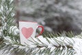 A white cup with a red variegated heart on a pine branch.
