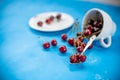 White cup with ripe berries of red sweet cherry and several berries in front of the cup. Composition on a blue Royalty Free Stock Photo