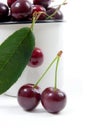 White cup with ripe berries of red sweet cherry and several berries in front of the cup. Royalty Free Stock Photo