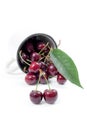 White cup with ripe berries of red sweet cherry and several berries in front of the cup. Composition on white Royalty Free Stock Photo