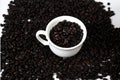 White cup with roasted coffee beans isolated with copy space