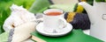 White cup of tea on books with green warm plaid, spring flowers on white table outdoor. Hot drink at breakfast in garden. Long web Royalty Free Stock Photo