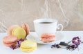 White cup of tea, french macaroons in pastel colors, dry tea, rose flowers on the white table. Royalty Free Stock Photo