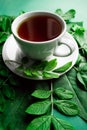 White cup of tea with green sprig and leafs on green background Royalty Free Stock Photo