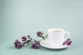 A white Cup of tea with a sprig of oregano stands on the table on a gray-green background, morning tea