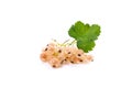 White currant berry isolated on white. A bunch of white currant. Royalty Free Stock Photo
