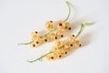 white currant berry on white, macro photo with natural light Royalty Free Stock Photo