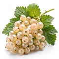 White currant bunch on white background Royalty Free Stock Photo