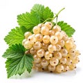 White currant bunch on white background Royalty Free Stock Photo
