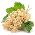 White currant bunch on white background Royalty Free Stock Photo