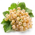 White currant bunch on white background Royalty Free Stock Photo
