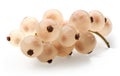 White currant bunch on white background Royalty Free Stock Photo