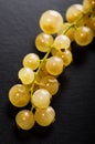 White currant Royalty Free Stock Photo