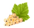 White currant Royalty Free Stock Photo