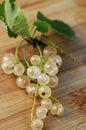 White currant Royalty Free Stock Photo