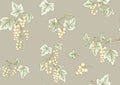 White currant. Ripe berries. Seamless pattern, background.