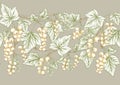 White currant. Ripe berries. Seamless pattern, background.