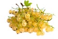 White currants Royalty Free Stock Photo