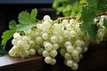 White currants growing on a bush in the garden. Generative AI Royalty Free Stock Photo