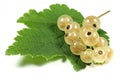 White currants Royalty Free Stock Photo