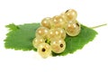 White currants Royalty Free Stock Photo