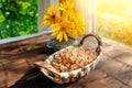 white currants in a wicker basket on a wooden rustic table. Harvest of white currant, still life with wonderful sunlight Royalty Free Stock Photo