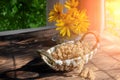 White currants in a wicker basket on a wooden rustic table. White currant harvest, still life with beautiful light