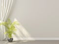 White curtains with plant