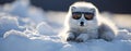 Cute arctic fox