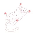White Cute Cat Laying on Back. Vector Illustration. isolated on White Background.