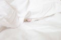 White cute cat sleeps in a sheet.