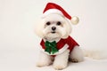 White cute dog in New Year costume on plain background, ai