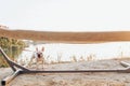 White cute french bulldog under hammock on the beach in sunset light, summer vacation. stylish girl with funny little dog resting Royalty Free Stock Photo