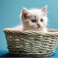 White cute kitten sits in a wicker basket on a blue background.Generative AI Royalty Free Stock Photo