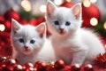 White cute kittens in a New Year\'s setting on blurred background.