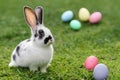 White, cute rabbit and Easter eggs. A hare on a green meadow. Easter background with copy space. Art little easter bunny and Royalty Free Stock Photo