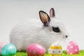 White, cute rabbit and Easter eggs. A hare on a green meadow. Easter background with copy space. Art little easter bunny and Royalty Free Stock Photo