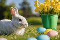 White, cute rabbit and Easter eggs. A hare on a green meadow. Easter background with copy space. Art little easter bunny and Royalty Free Stock Photo