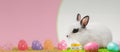 White, cute rabbit and Easter eggs. Panorama. A hare on a green meadow. Easter background with copy space. Art little easter bunny Royalty Free Stock Photo