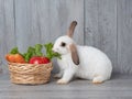 White cute rabbit eating green lettuce carrot and apple in the wooden basket. Royalty Free Stock Photo