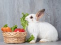 White cute rabbit eating green lettuce carrot and apple in the wooden basket and wooden gray background. Royalty Free Stock Photo