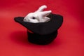 white cute rabbit sits in a black hat on red background. Cylinder hat. Focus with hare. circus performance illusion Royalty Free Stock Photo