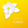 White cutout paper flower on yellow background. Vector greeting or ad card.