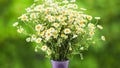 White Cutter Flower on jar with blurred green background Royalty Free Stock Photo